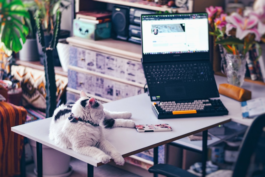 【ChatGPT活用】Notion×AI秘書でタスク革命！2025年最新知見 - a cat laying on a table next to a laptop