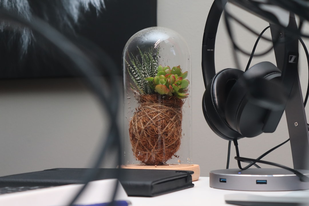 NotebookLM活用術：散らかったメモからプレゼン資料を自動生成する技術 - Desk plant.
